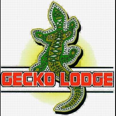 Photo: Gecko Lodge